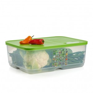 Tupperware Fridgesmart Extra Large Lettuce Leaf | 31928XEAH