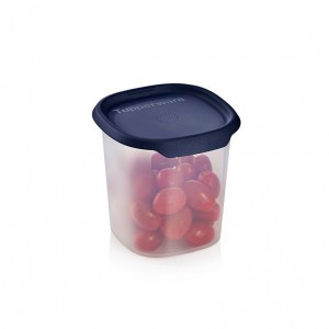 Tupperware One Touch Fresh Small Square 3 1/4-cup/ 810 Ml Nocturnal Sea | 28154SLON