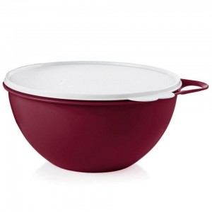 Tupperware Thatsa Medium Bowl Bordeaux | 62514DNGJ