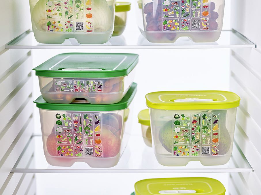 Tupperware Fridgesmart 4-pc. Starter Set Green / Deep | 83946ZLEB