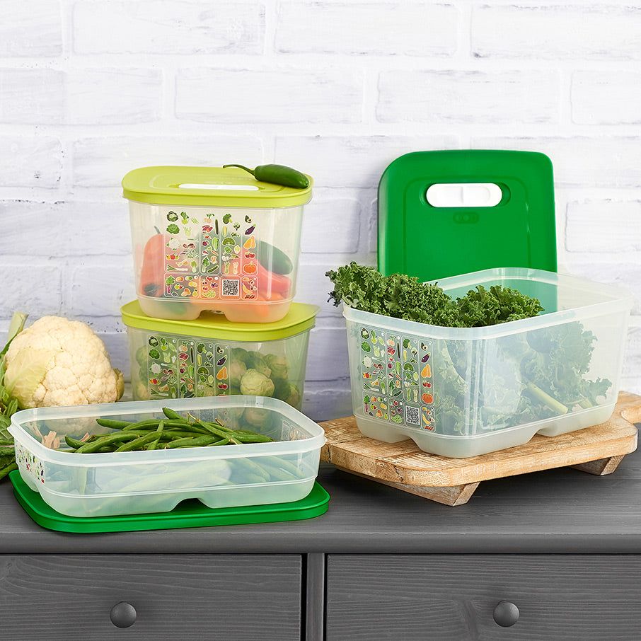 Tupperware Fridgesmart 4-pc. Starter Set Green / Deep | 83946ZLEB