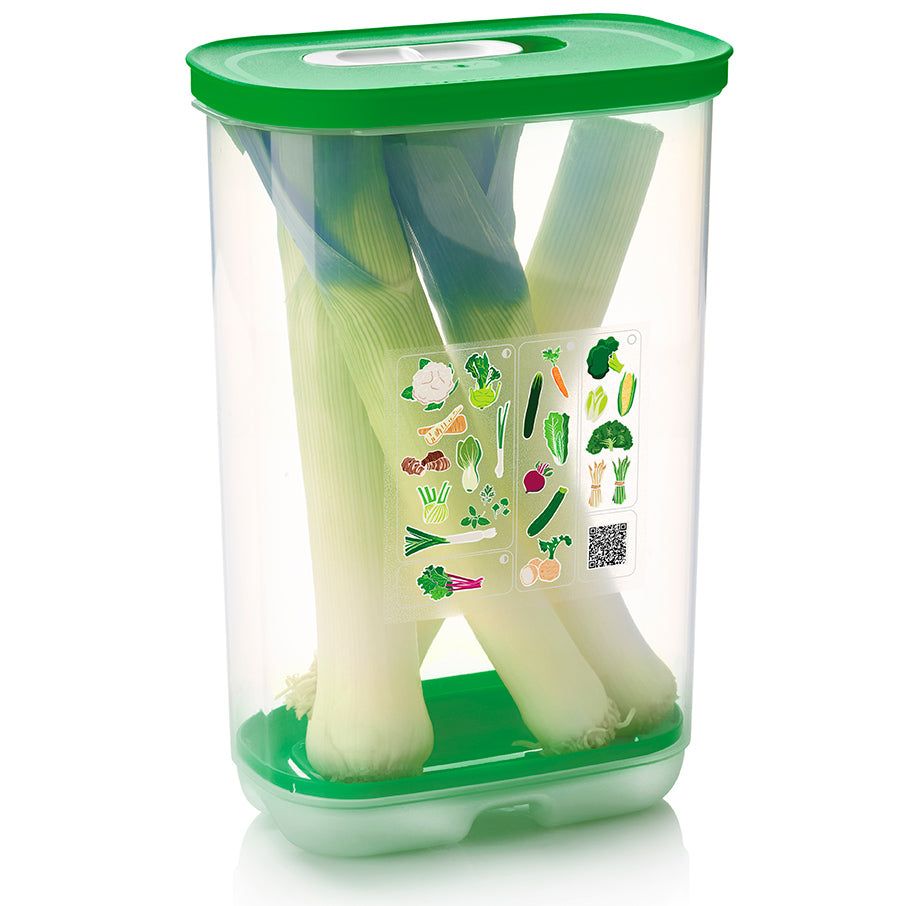 Tupperware Fridgesmart Vertical Green | 71658JSKO