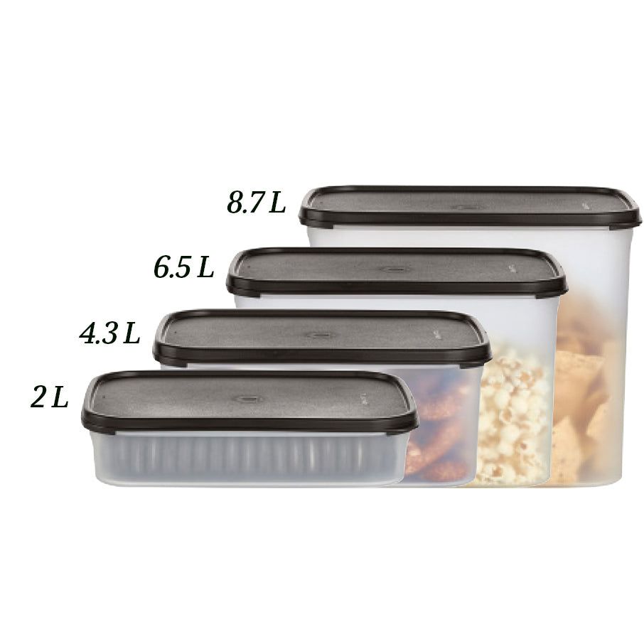 Tupperware Modular Mates Rectangular 2 | 73652WIZR