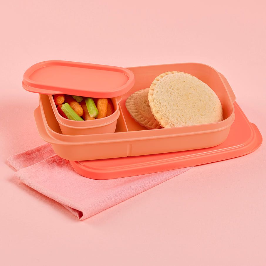 Tupperware Slim Lunch Container Cosy Rosy | 58619KTQR