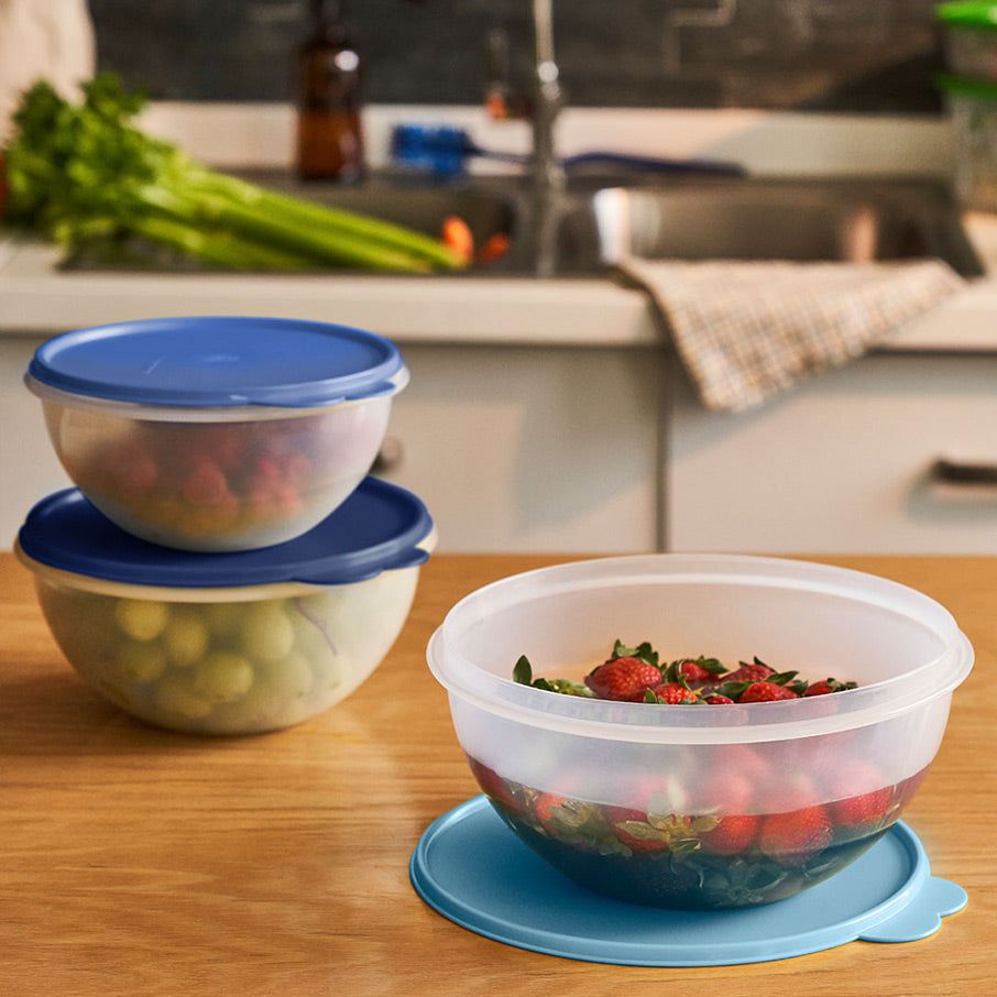 Tupperware Wonderlier Bowl 3-pc. Set sIce Cube | 01698BYKT